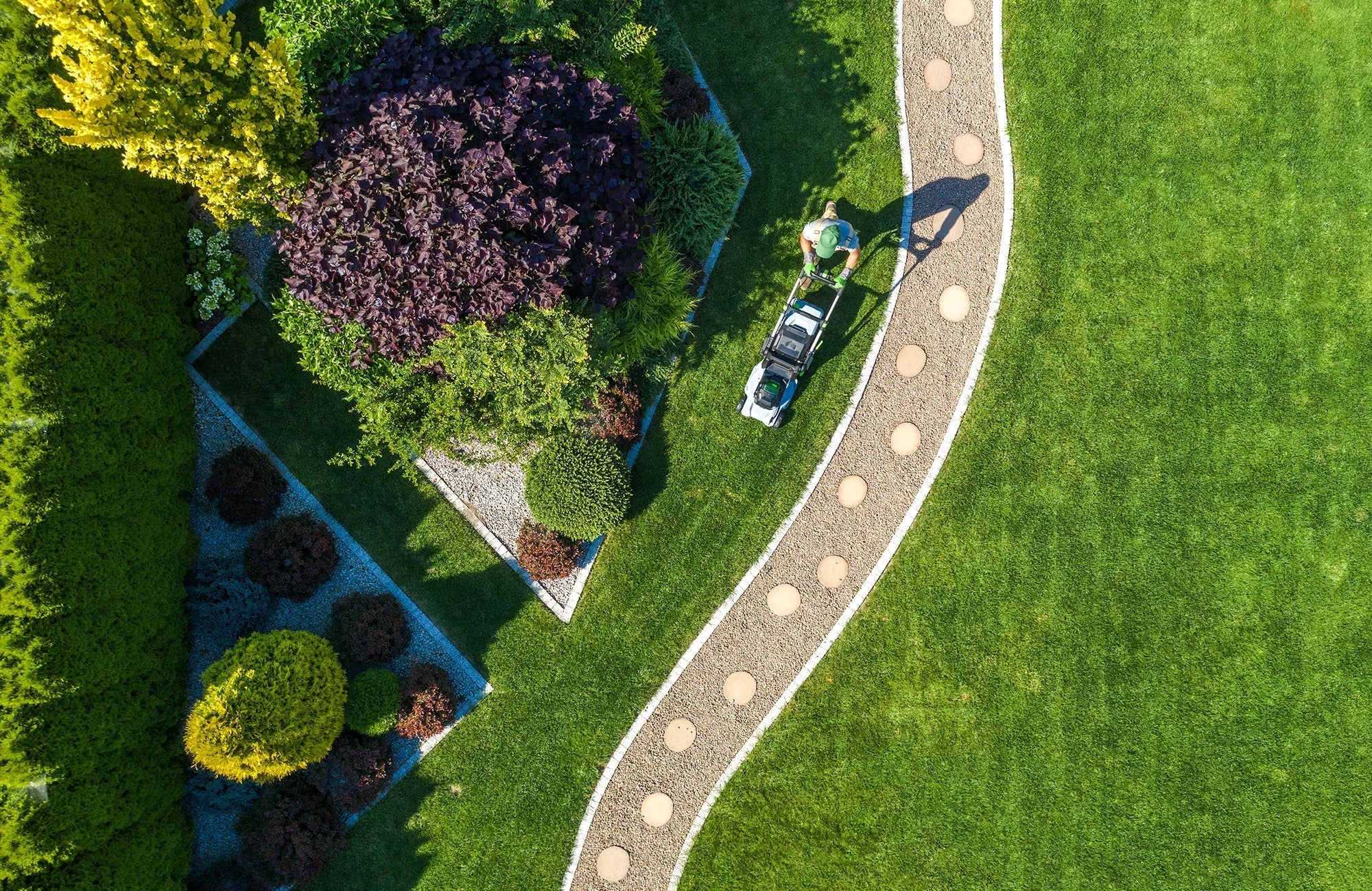 Best Trees for Formal Gardens: Lime, Hornbeam & Pleached Options