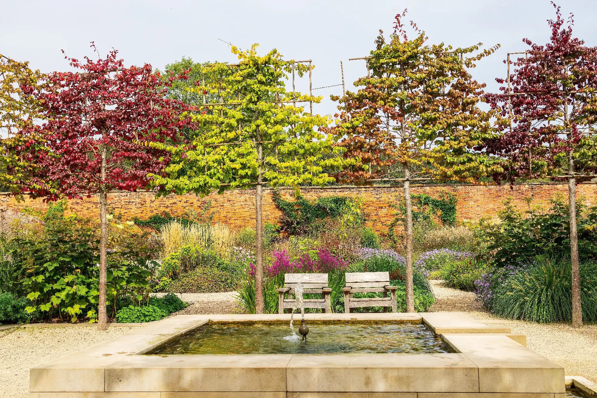 Choosing Trees for Commercial Landscaping Projects