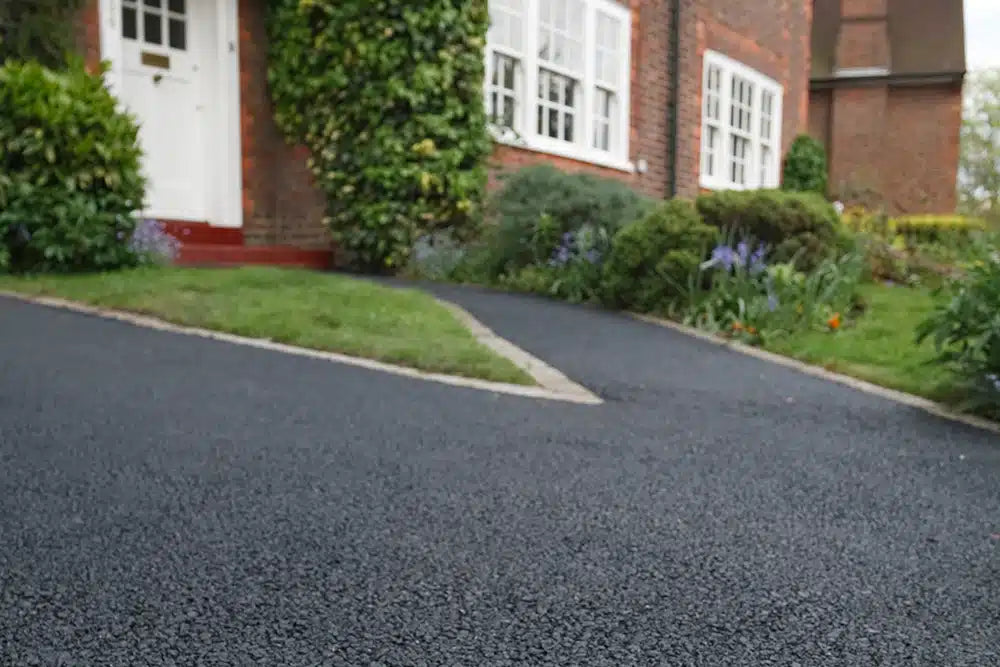 Best Trees for Driveways and Entrances: Formal Planting Ideas