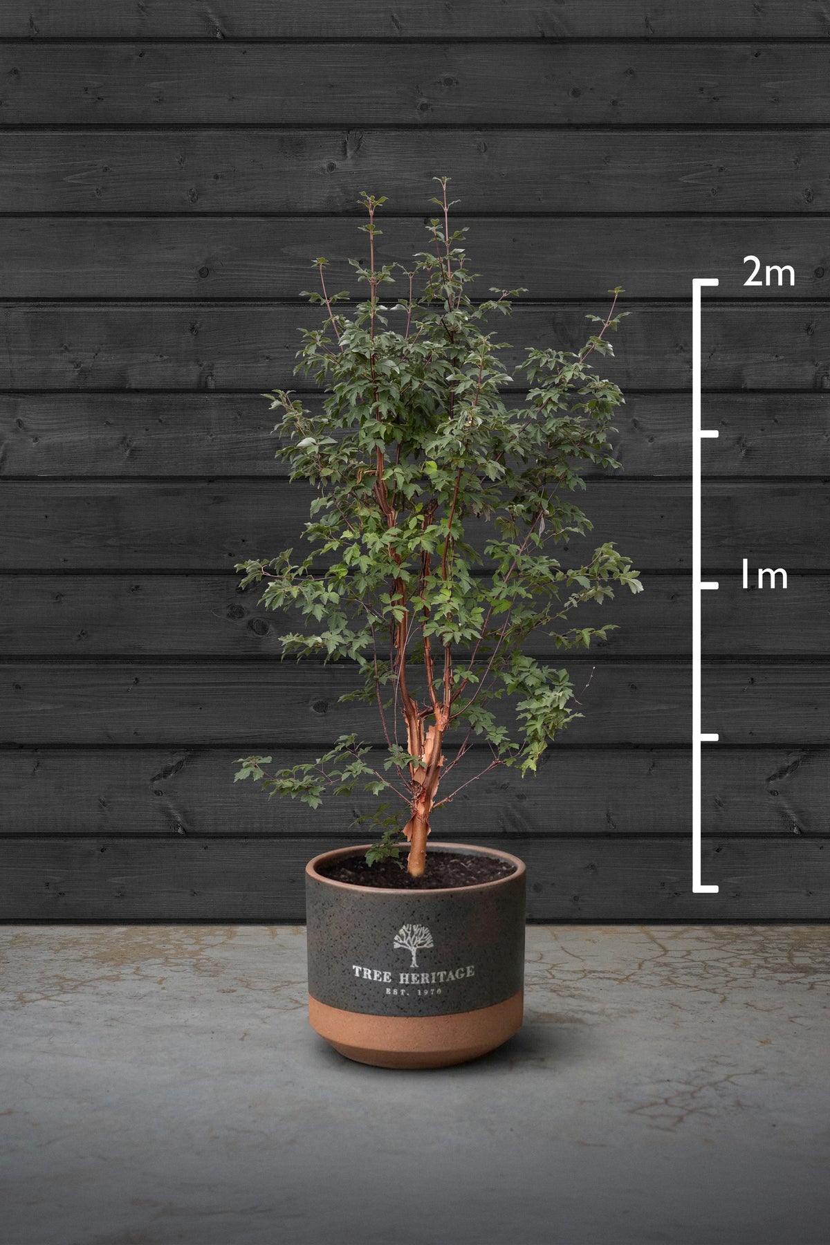 100-150cm