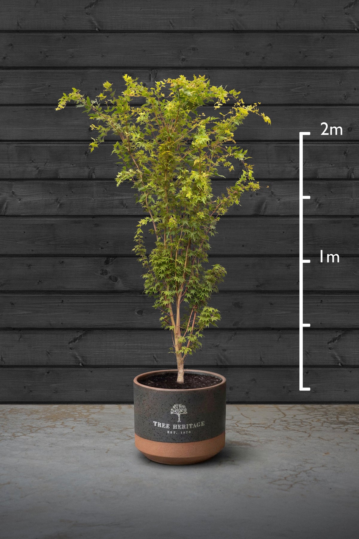 150-200cm