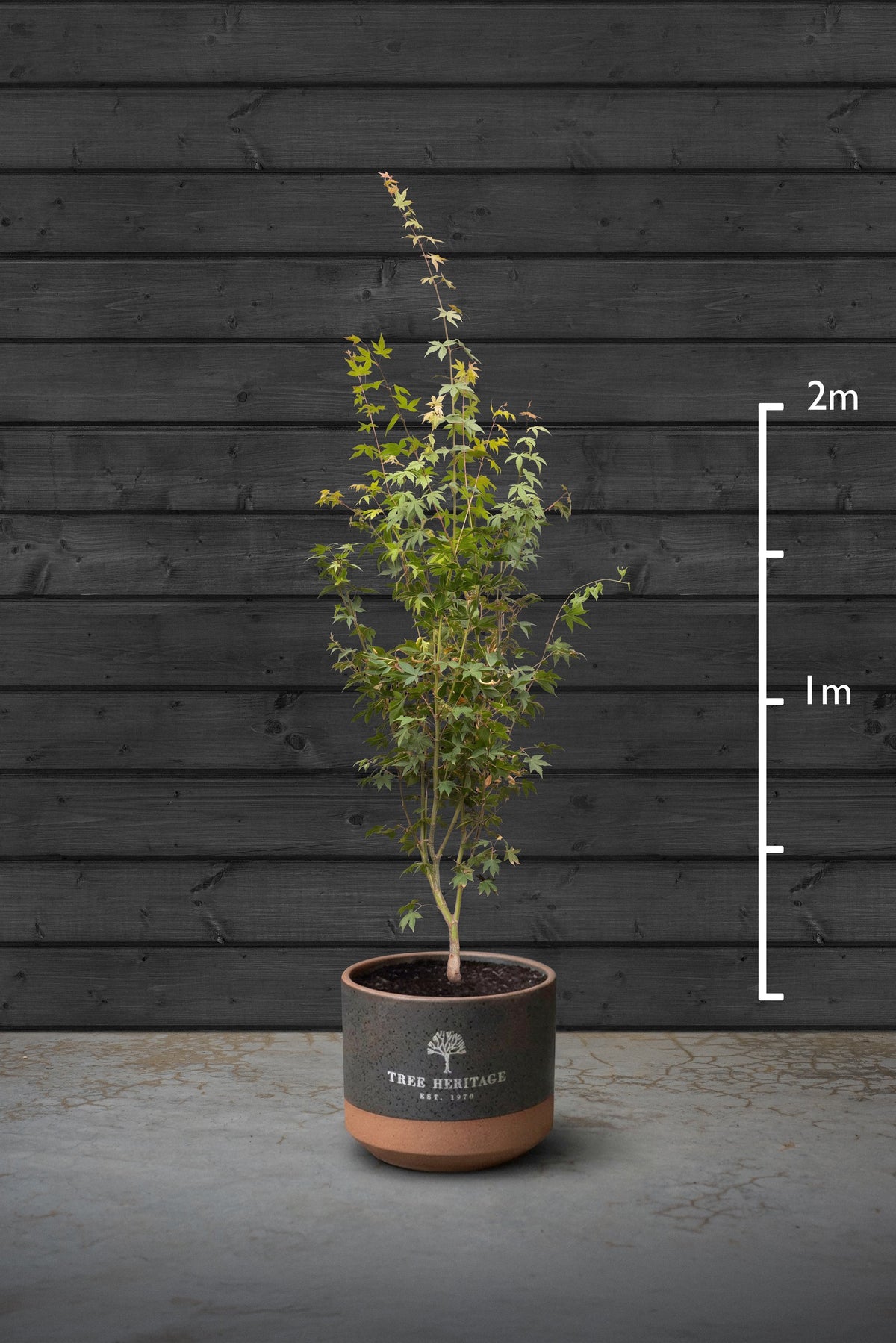 200-250cm