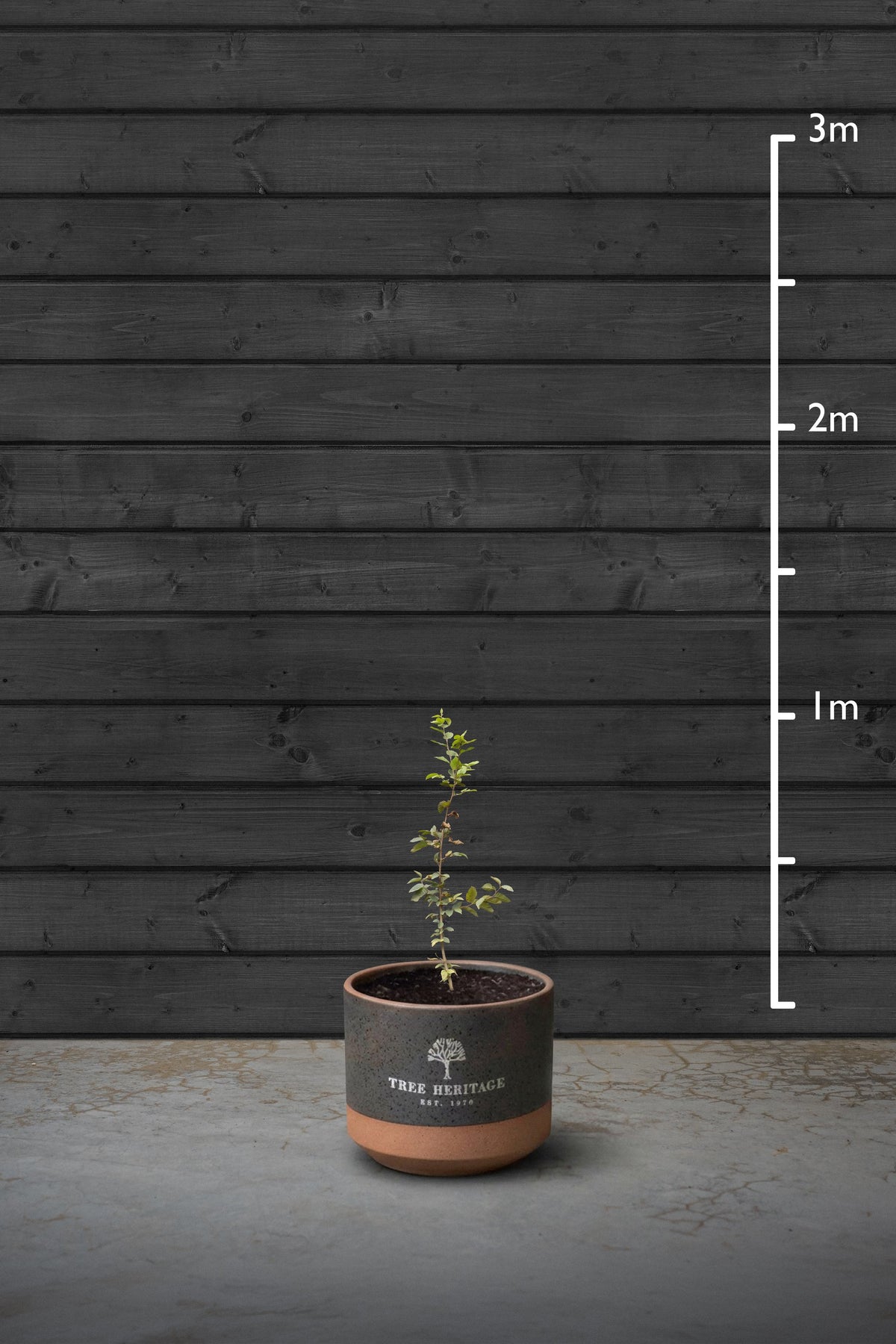 80-100cm