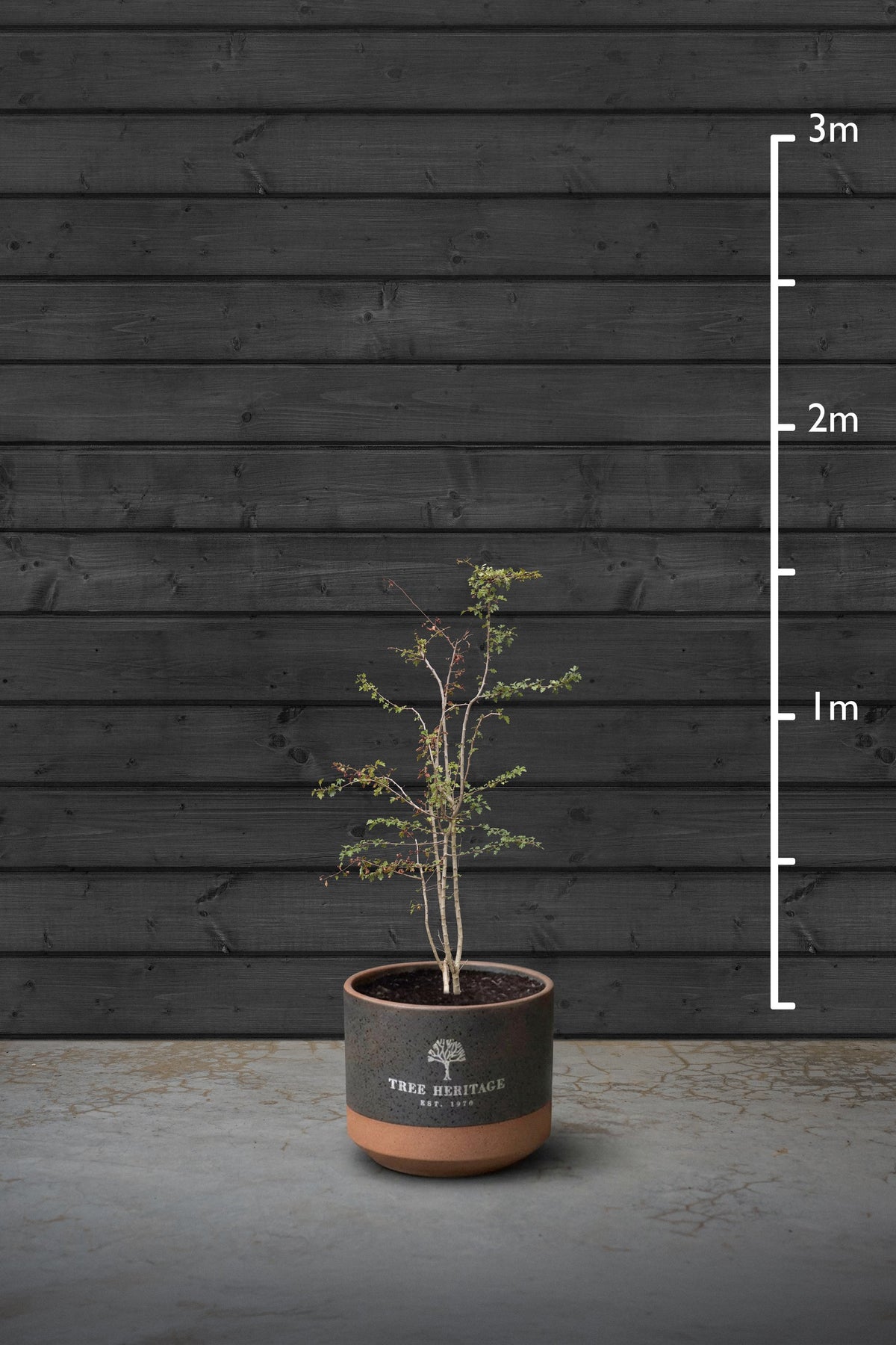 140-160cm