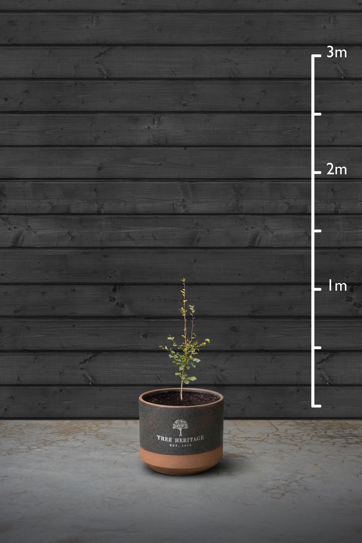 80-100cm