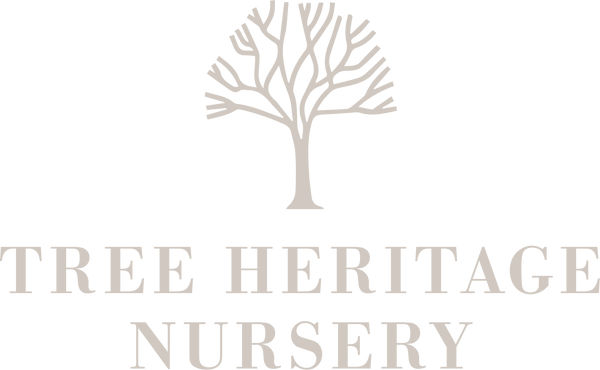 Tree Heritage
