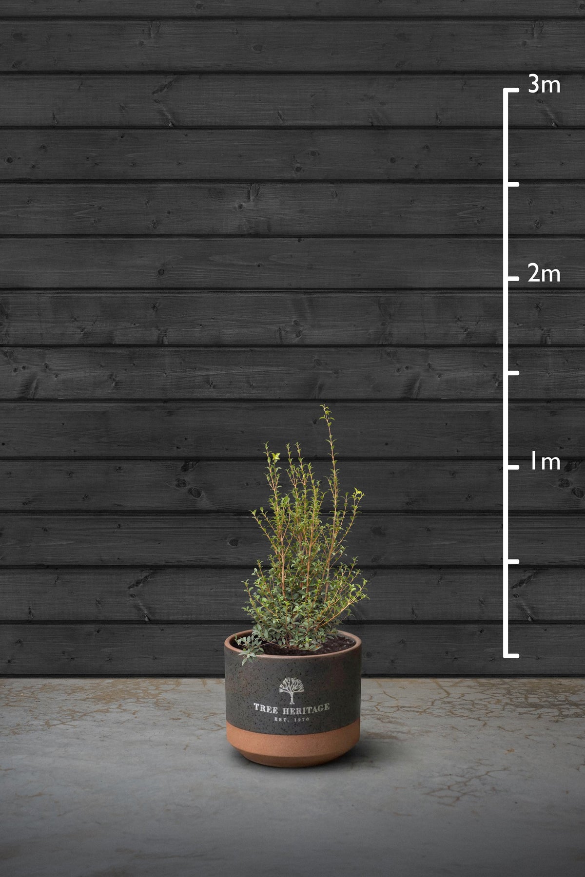 80-100cm