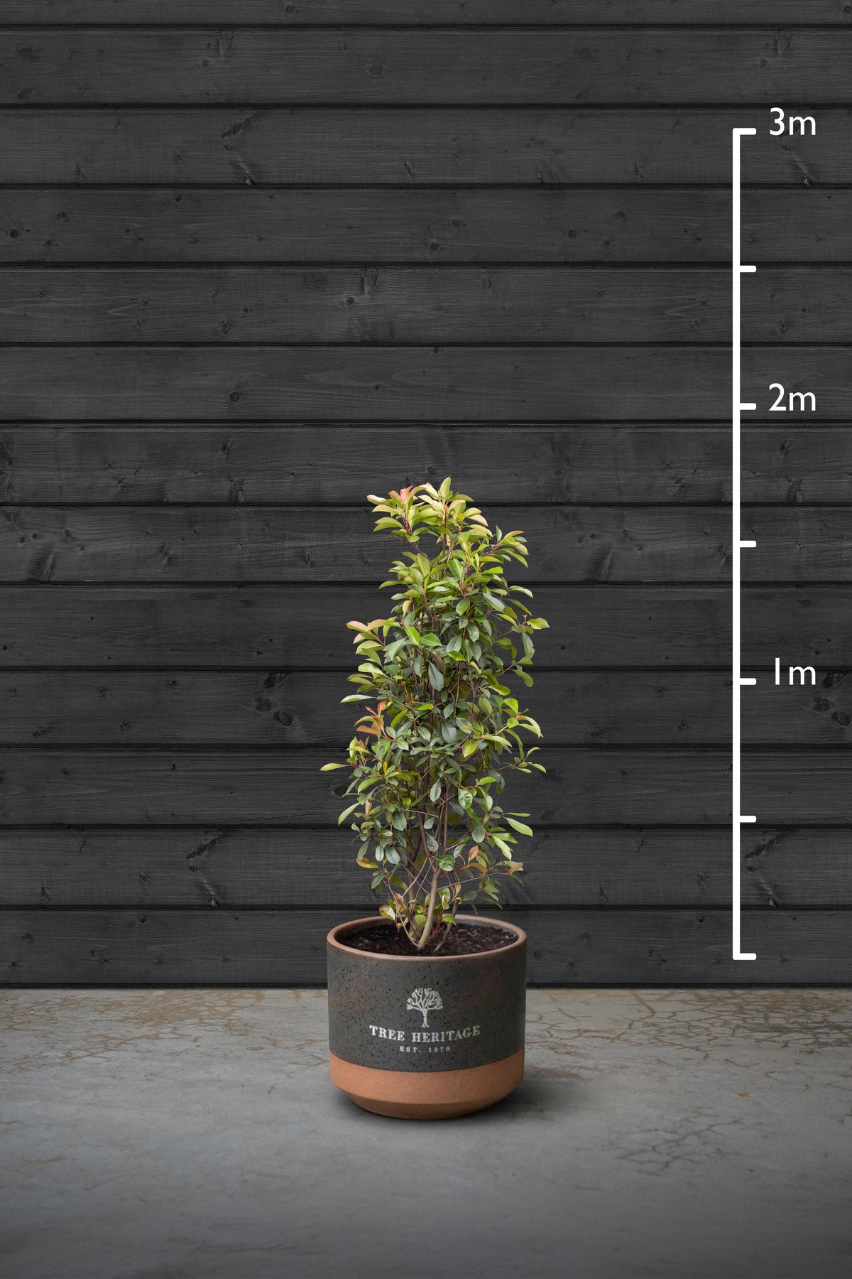 140-160cm