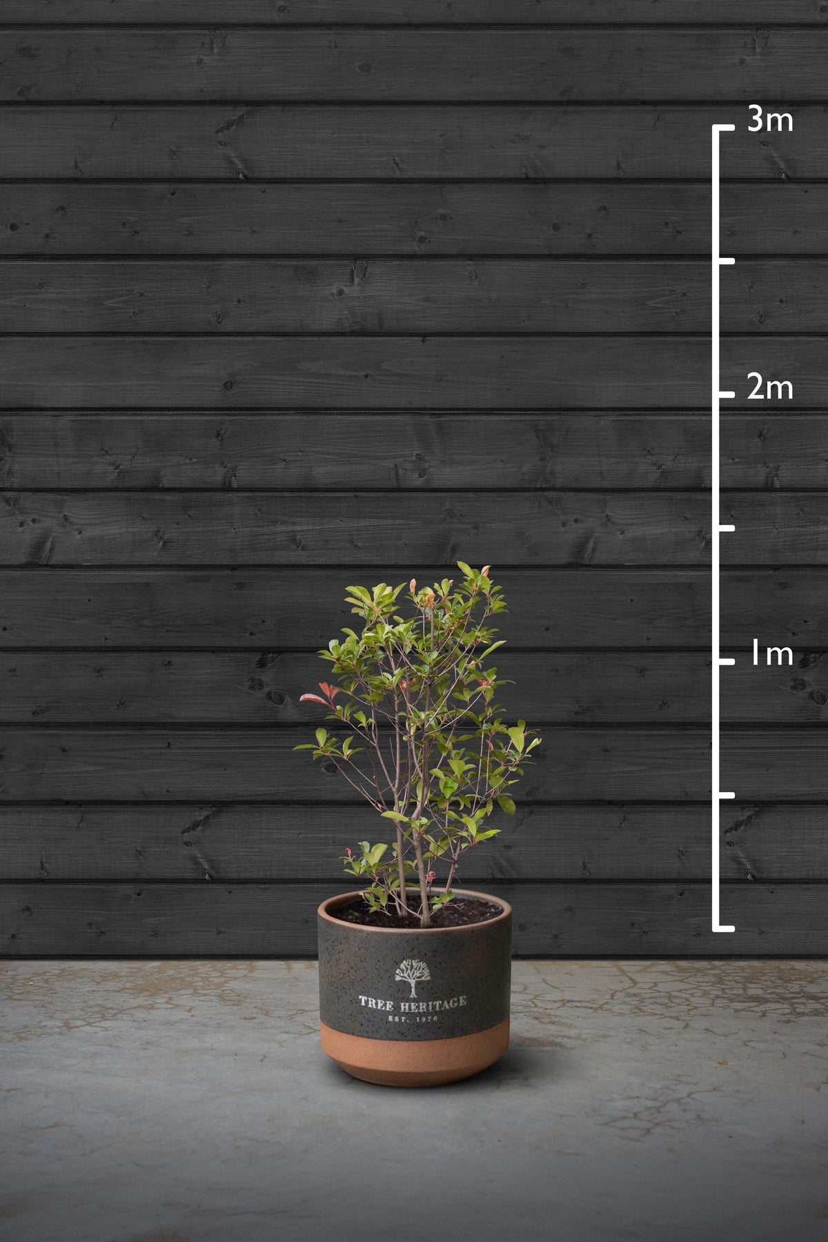 80-100cm