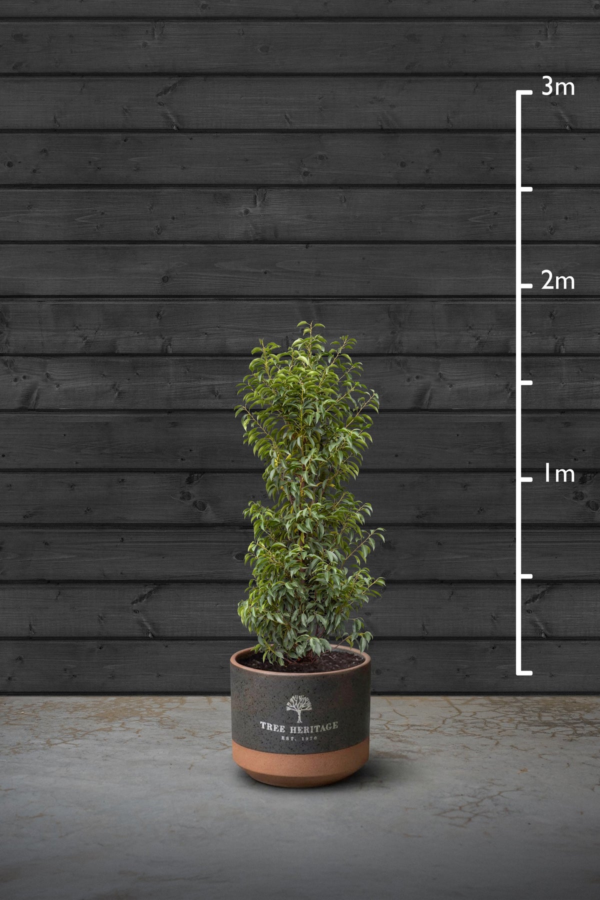 140-160cm
