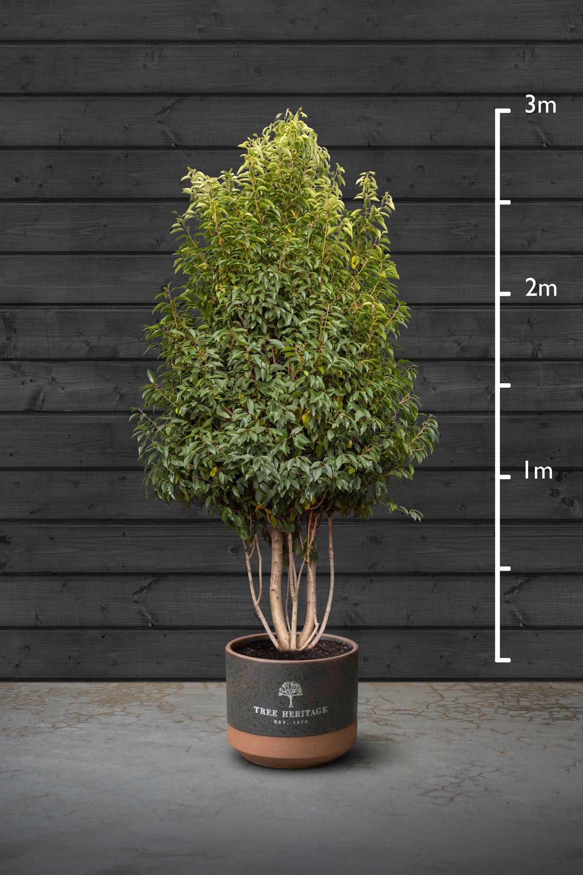 200-250cm