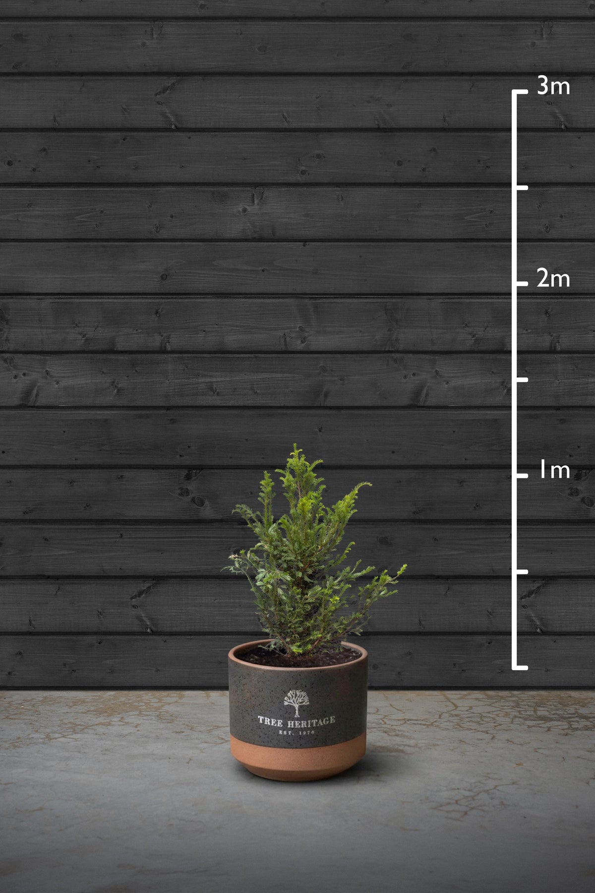 80-100cm